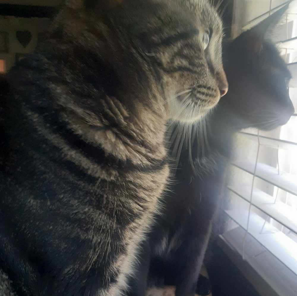 Meet your Posher, Michelle - Picture 6 of 11